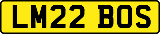 LM22BOS
