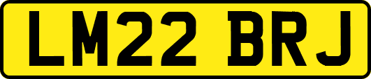 LM22BRJ