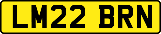 LM22BRN