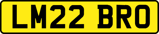 LM22BRO