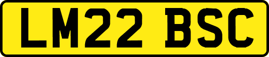 LM22BSC