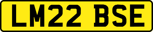 LM22BSE