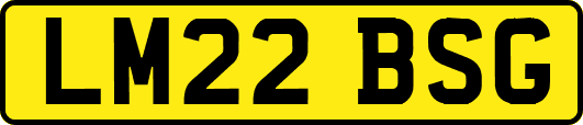 LM22BSG