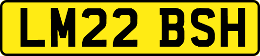 LM22BSH