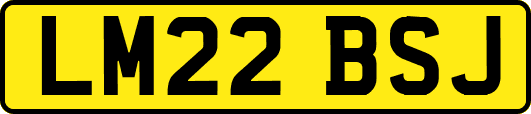 LM22BSJ