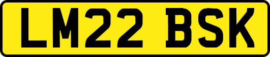 LM22BSK