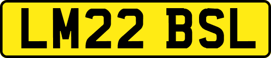 LM22BSL