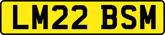 LM22BSM