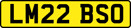 LM22BSO