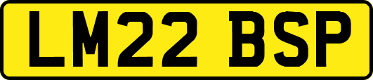 LM22BSP