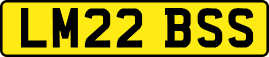 LM22BSS