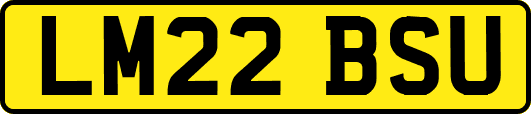 LM22BSU