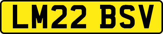 LM22BSV
