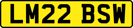 LM22BSW