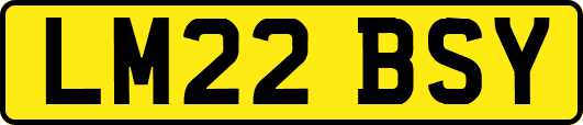 LM22BSY
