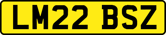 LM22BSZ