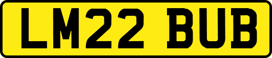 LM22BUB