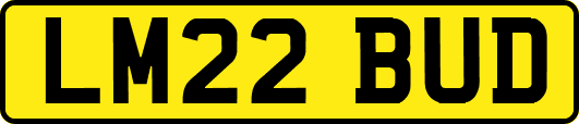 LM22BUD