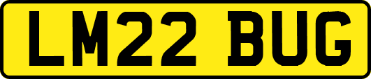 LM22BUG