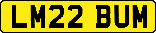 LM22BUM