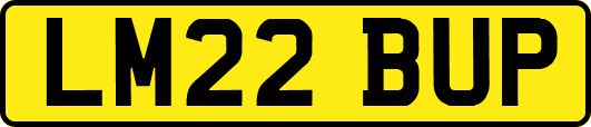 LM22BUP