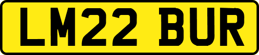 LM22BUR