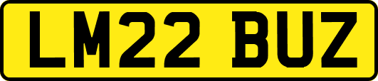 LM22BUZ