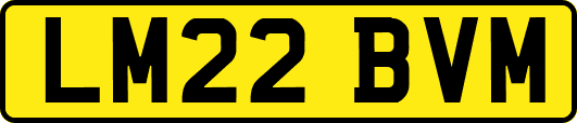 LM22BVM