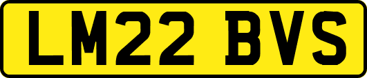 LM22BVS