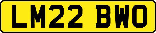 LM22BWO