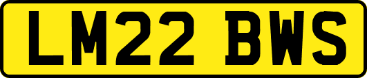 LM22BWS