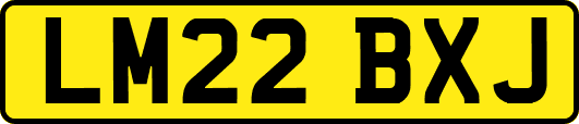 LM22BXJ