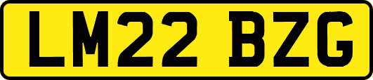 LM22BZG