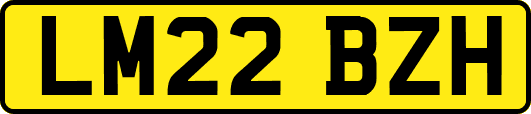 LM22BZH