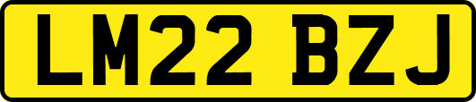 LM22BZJ