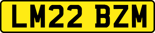 LM22BZM