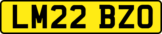 LM22BZO