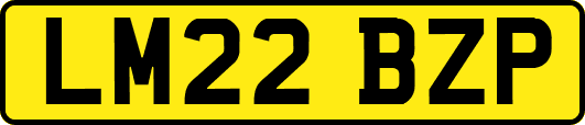 LM22BZP