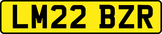 LM22BZR