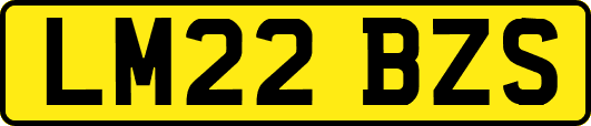 LM22BZS
