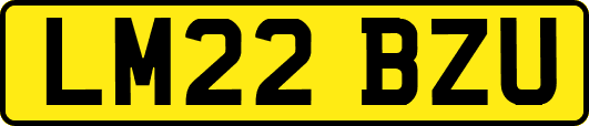 LM22BZU