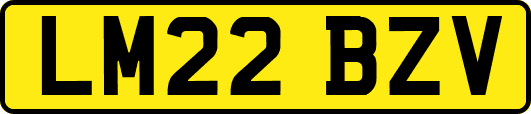 LM22BZV