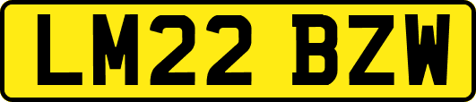 LM22BZW