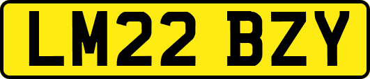 LM22BZY