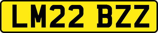 LM22BZZ