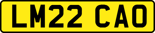 LM22CAO