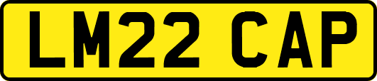 LM22CAP