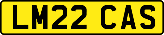 LM22CAS