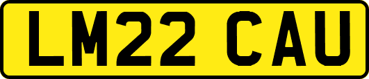 LM22CAU