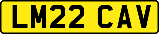 LM22CAV